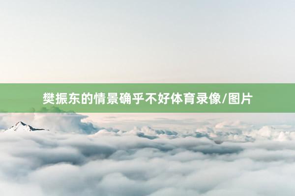 樊振东的情景确乎不好体育录像/图片