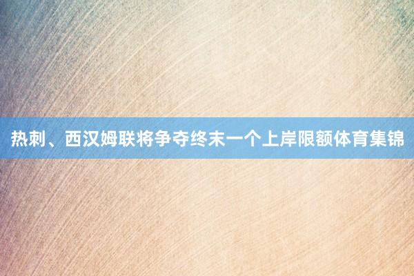 热刺、西汉姆联将争夺终末一个上岸限额体育集锦