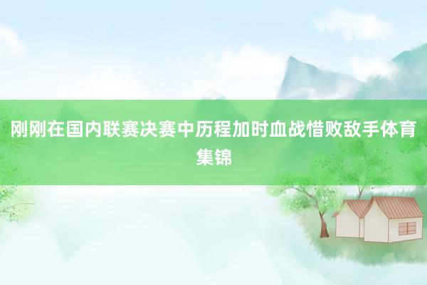 刚刚在国内联赛决赛中历程加时血战惜败敌手体育集锦