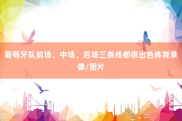 葡萄牙队前场、中场、后场三条线都很出色体育录像/图片
