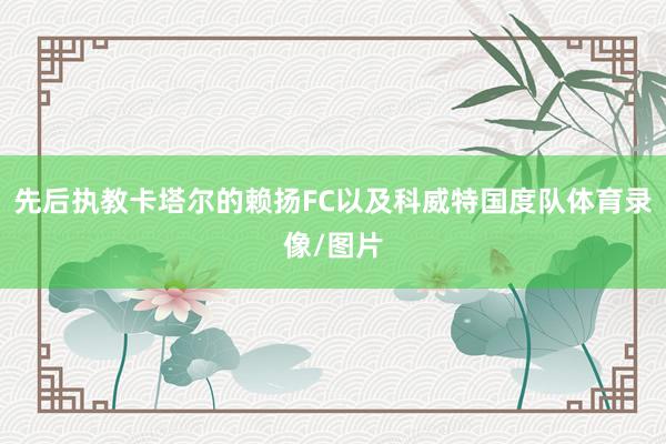 先后执教卡塔尔的赖扬FC以及科威特国度队体育录像/图片