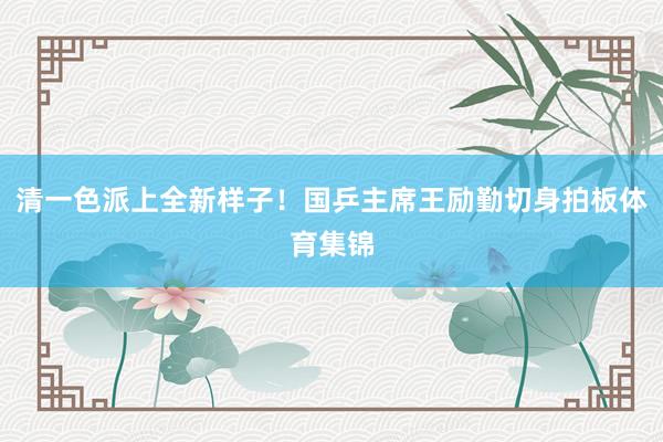 清一色派上全新样子！国乒主席王励勤切身拍板体育集锦