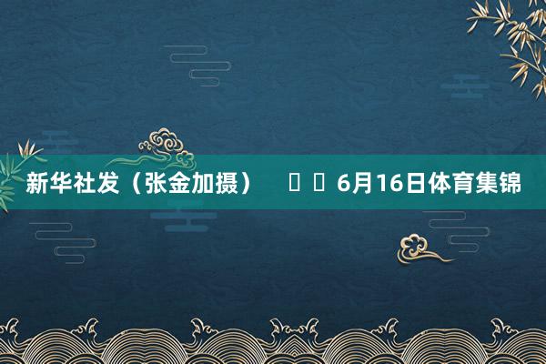 新华社发（张金加摄）      6月16日体育集锦