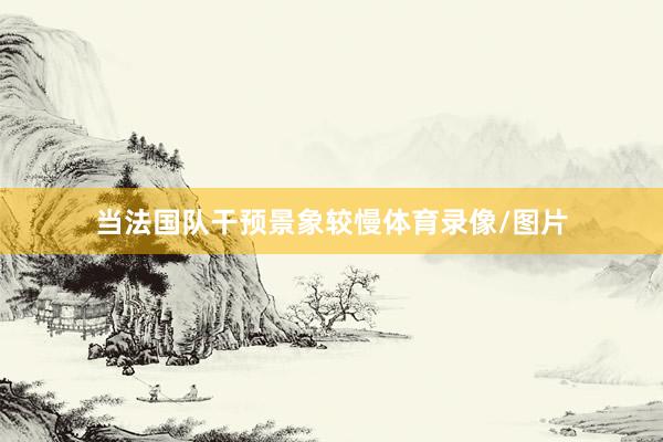 当法国队干预景象较慢体育录像/图片