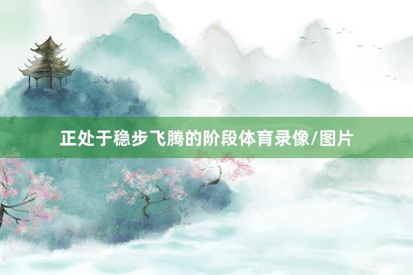 正处于稳步飞腾的阶段体育录像/图片